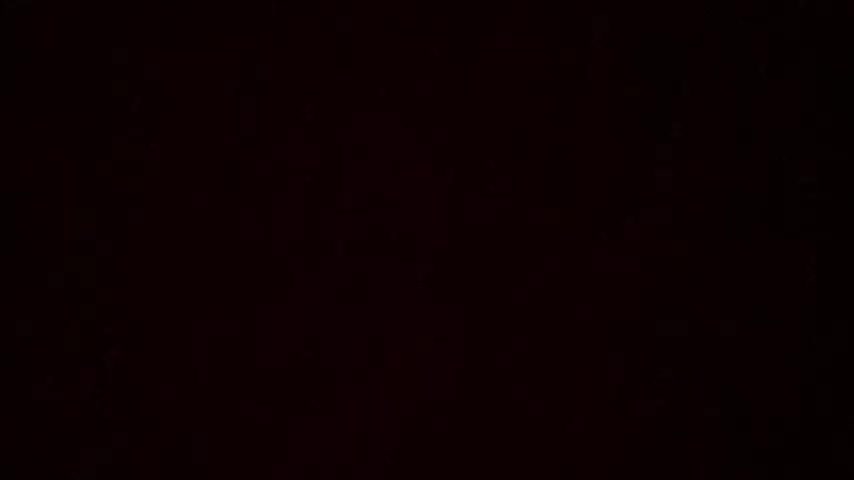 政宗公まつりにおける生徒の活躍